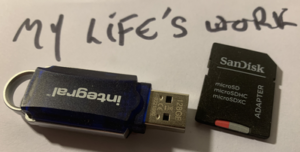 a pen-drive and a flash card